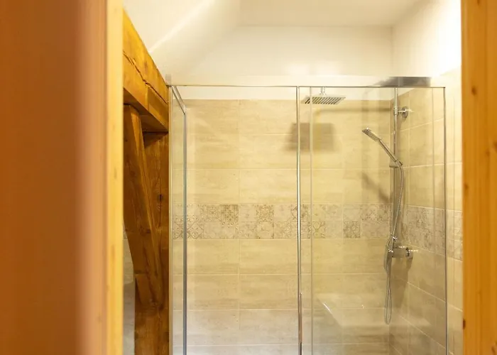 Golavskov Mlin - Eco Heritage Boutique Apartma Prebold