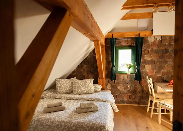 Golavskov Mlin - Eco Heritage Boutique Appartement *